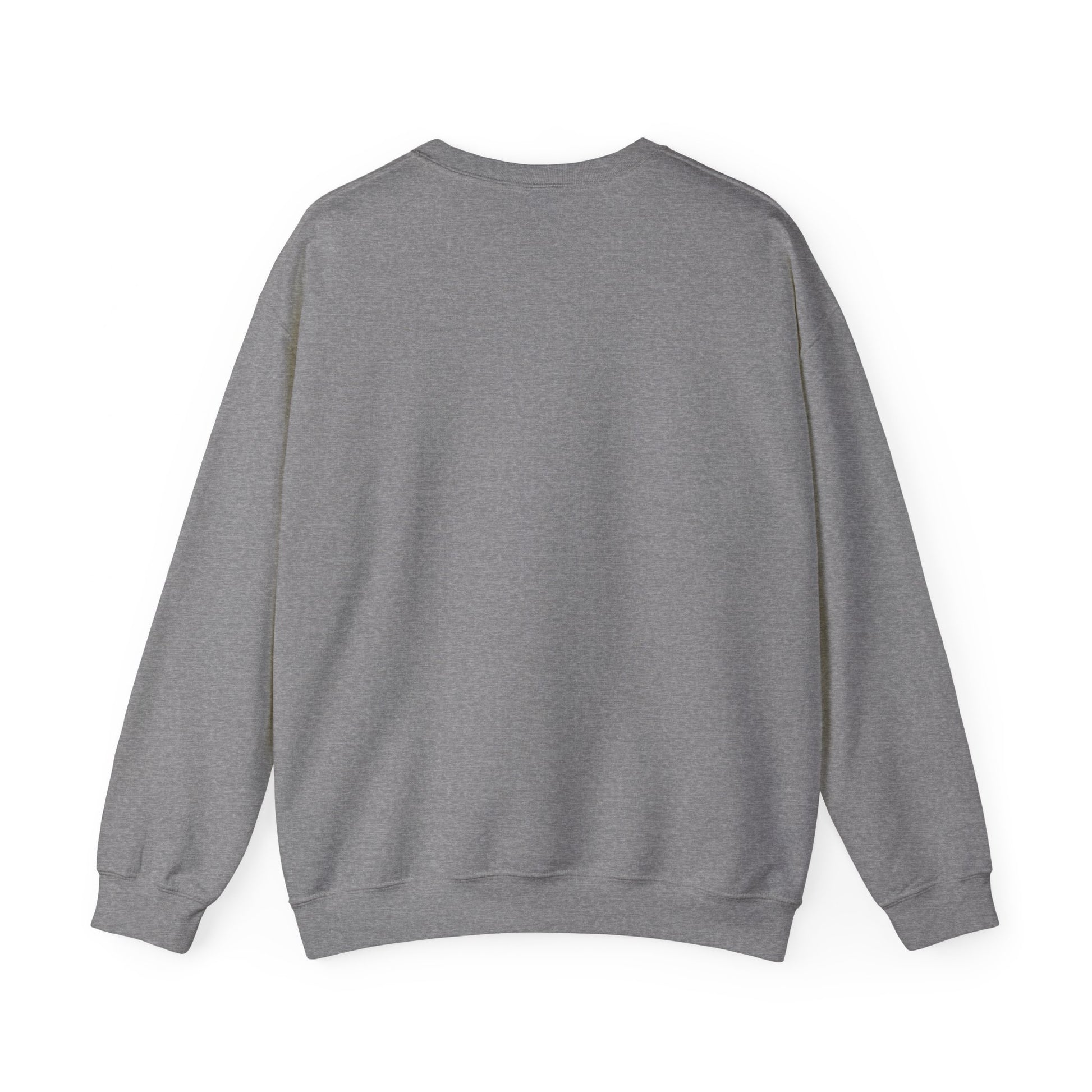 Dark Gray Sweatshirt