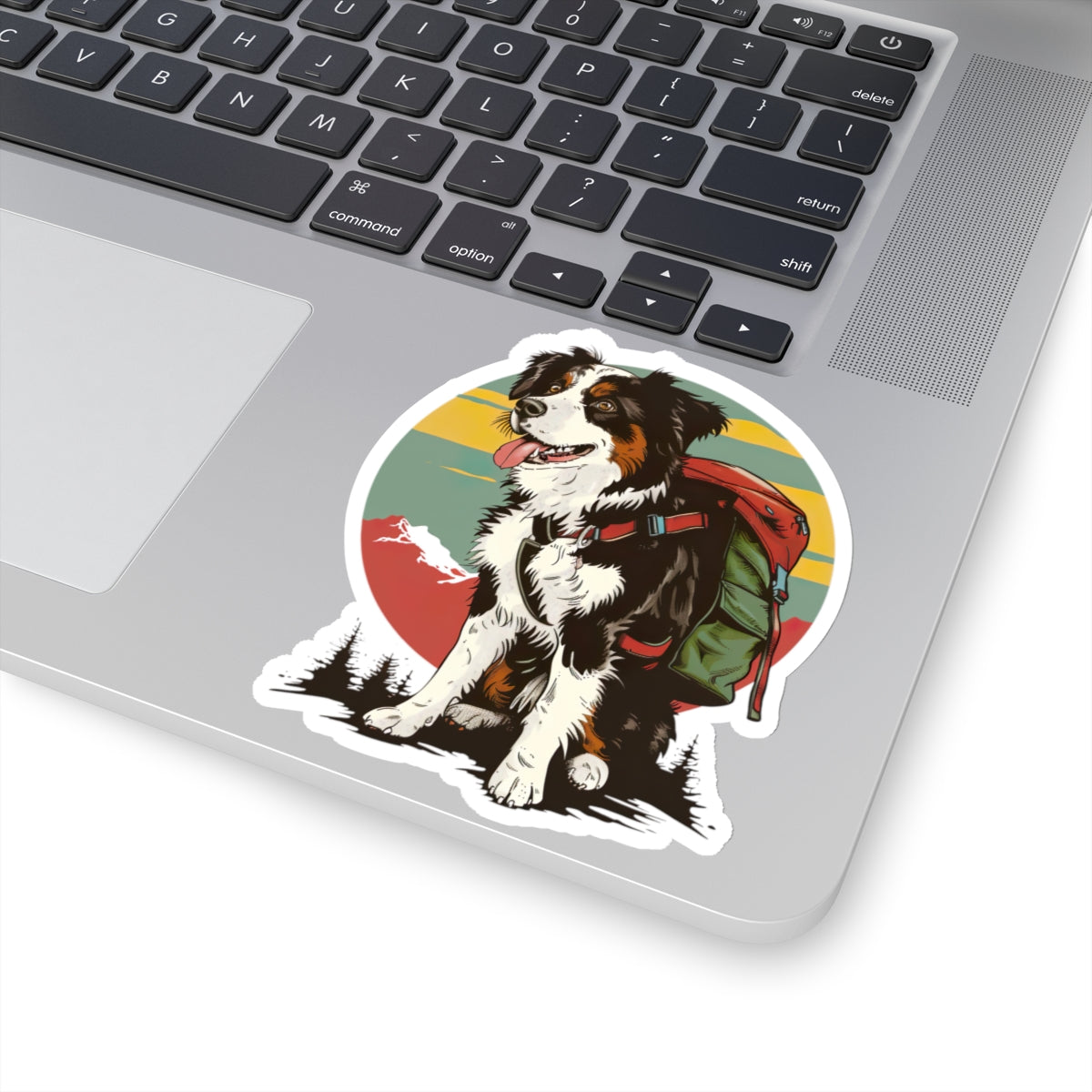 Border Collie Decal