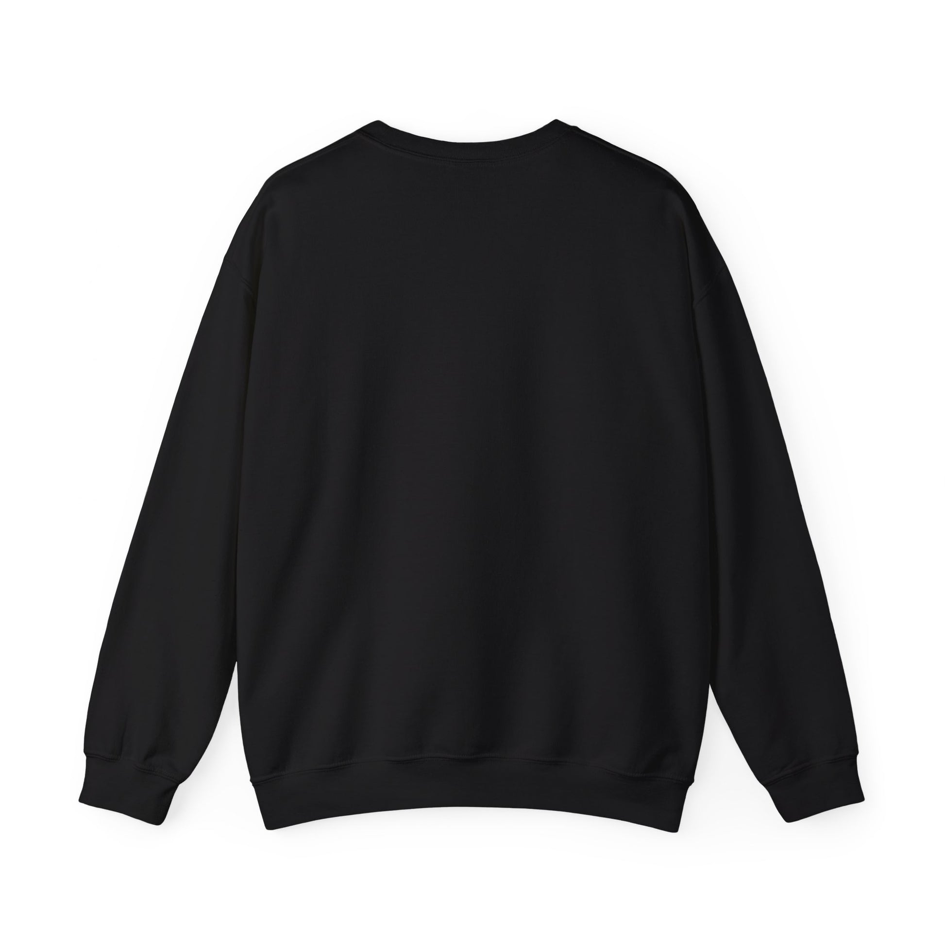 Black Sweatshirt