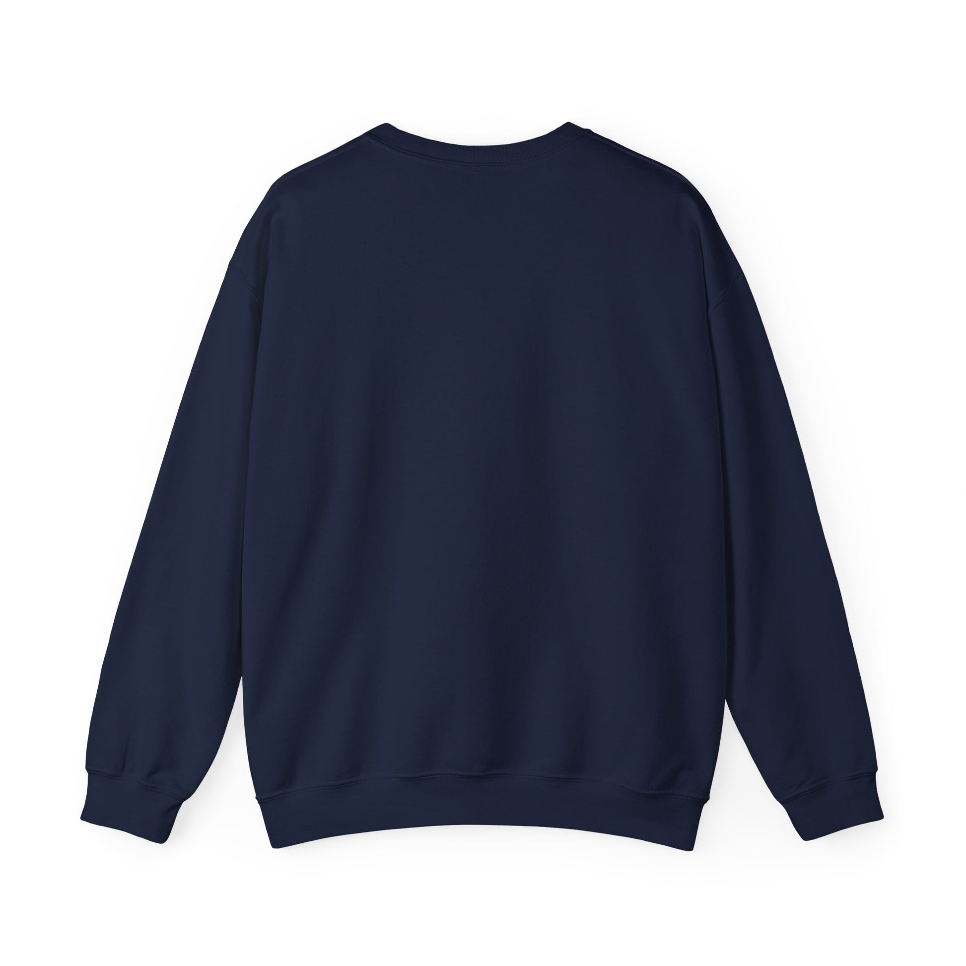 Navy Sweatshirt